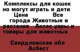 Комплексы для кошек, но могут играть и дети › Цена ­ 11 900 - Все города Животные и растения » Аксесcуары и товары для животных   . Свердловская обл.,Асбест г.